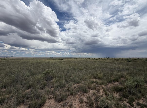 Morgan Street lot: 39, Moriarty, NM 87035
