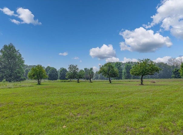 19839 Witt Road, Three Oaks, MI 49128