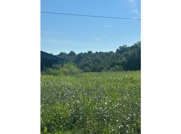 Tract #16 Statham Rd, Liberty, KY 42539