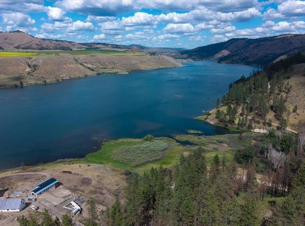 36141 N Mill Canyon Rd, Davenport, WA 99122