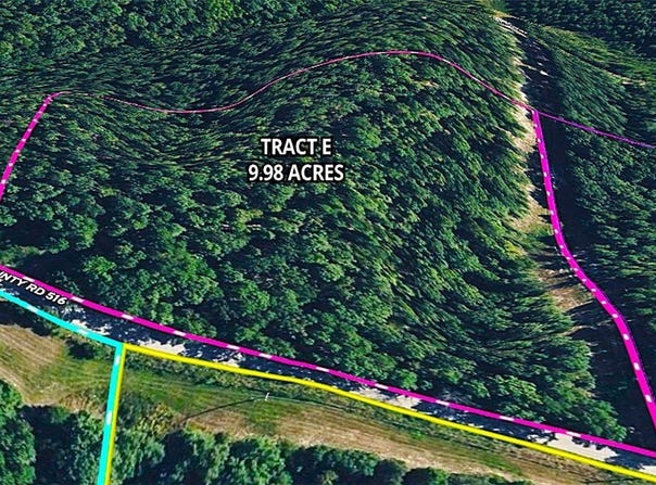 Tract E County Road 516, Berryville, AR 72616