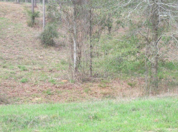 11 Josie Drive, ELLISVILLE, MS 39437