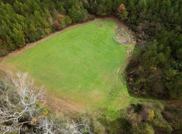 3448 Lower Centreville Road, Liberty, MS 39645