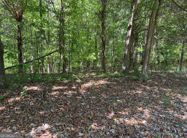 TRACT 1A CHALCREST Way, Cave Spring, GA 30124