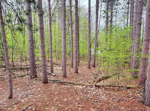 Del Mason Road, Bellaire, MI 49615