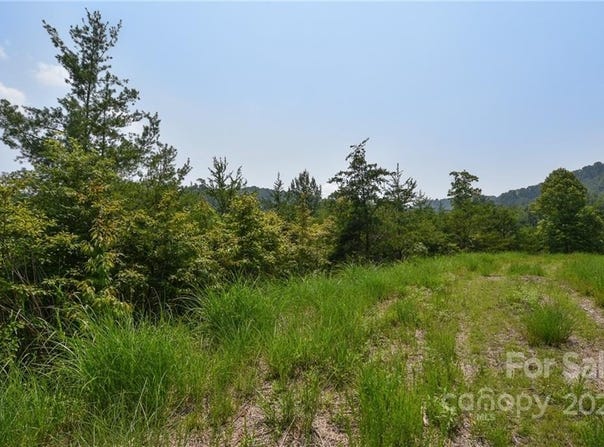 113 Chardonnay Avenue unit: 10, Marshall, NC 28753
