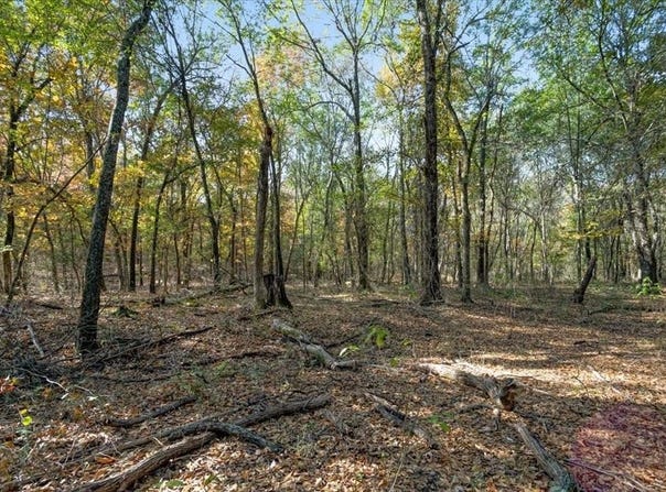 1602 Farm Road 1510, Brookston, TX 75421