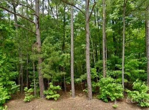 2390 Baron Dekalb Road, Camden, SC 29020