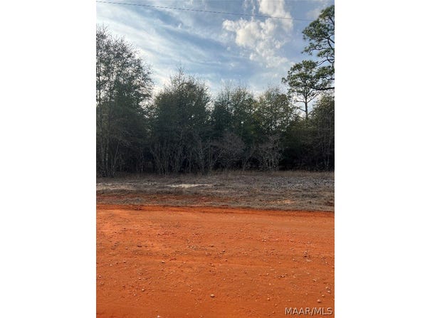 Deer Loop lot: 36, Camden, AL 36726