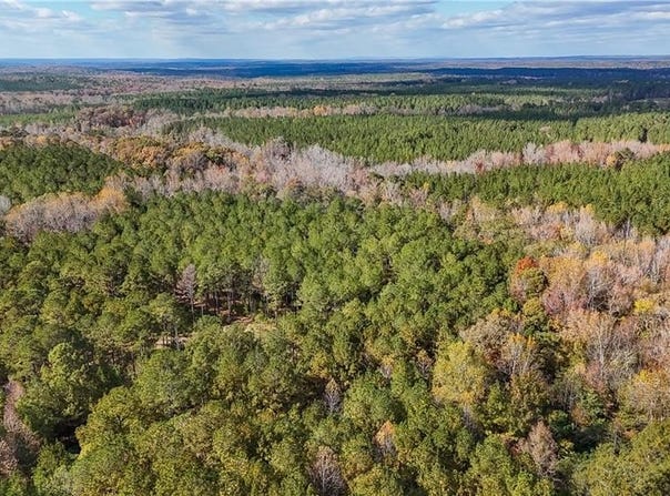 407 COUNTY ROAD 258, FIVE POINTS, AL 36855