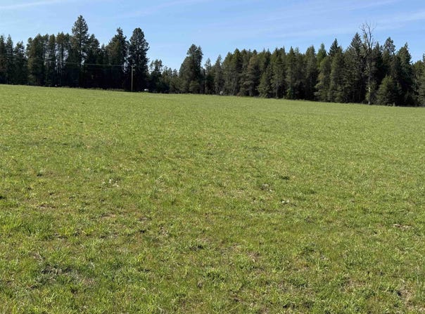 29210 N Spotted Rd, Deer Park, WA 99006