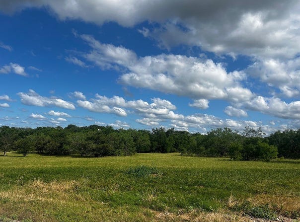 Lot 6 HIGH MEADOW COURT EAST, Schulenburg, TX 78956