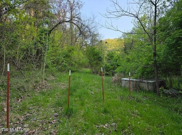 Tbd Boatmans Mountain 2.75 Ac Road, Morristown, TN 37814