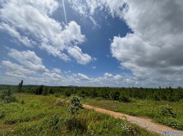 Tract 6 Tom Cat Road, Gadsden, AL 35903