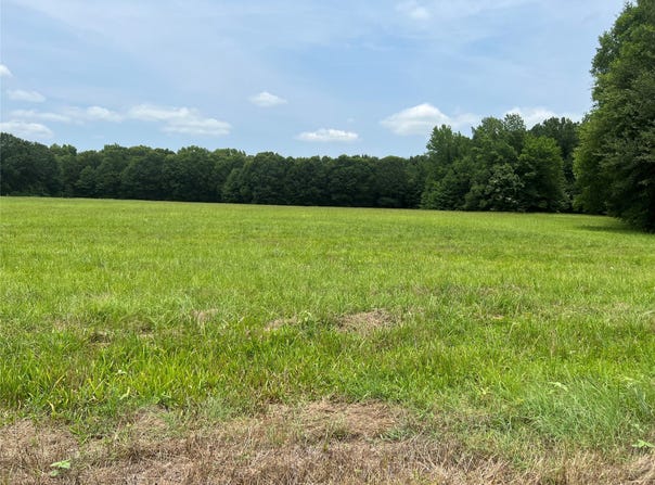 CR 4130, Mount Vernon, TX 75457