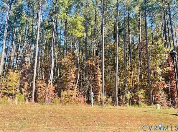 13337 Drake Mallard Place, Chesterfield, VA 23838