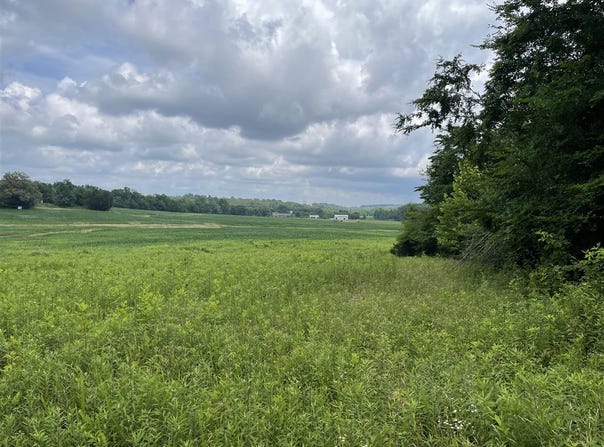0 Roe Road, Sharon Grove, KY 42280