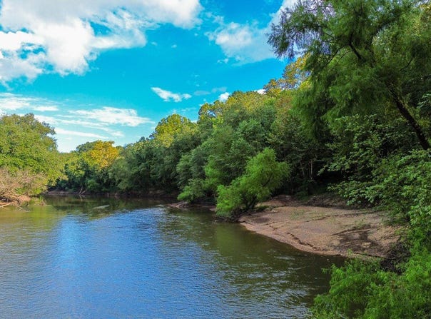 0 Hwy 29, Marion Junction, AL 36759