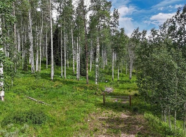 59395 CRIPPLE CREEK COURT, Clark, CO 80428