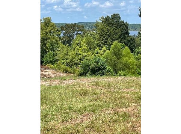 430 County Road 3360, Broaddus, TX 75929
