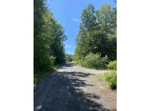 Lot 5 Shore Drive, Springfield, NH 03284