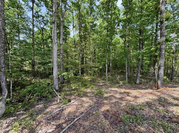 lot 23 Grant County Road 763, Sheridan, AR 72150