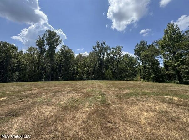 7643 Dean Road, Lake Cormorant, MS 38641
