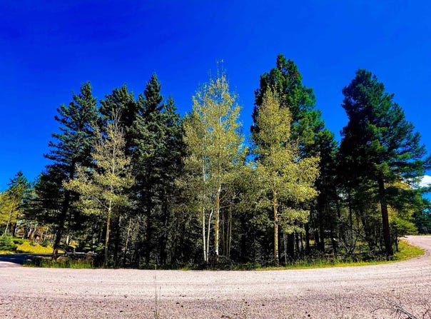 Calle de los Indios lot: 71, Angel Fire, NM 87710