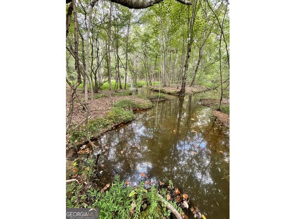7688 Hamilton, Pine Mountain, GA 31822