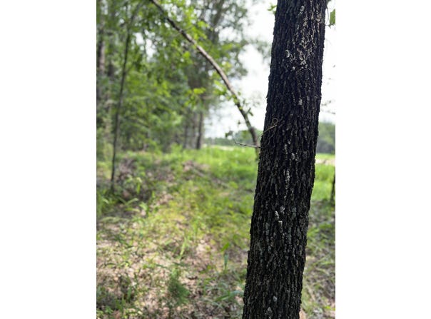 170 Deerfield Road, Colbert, OK 74733