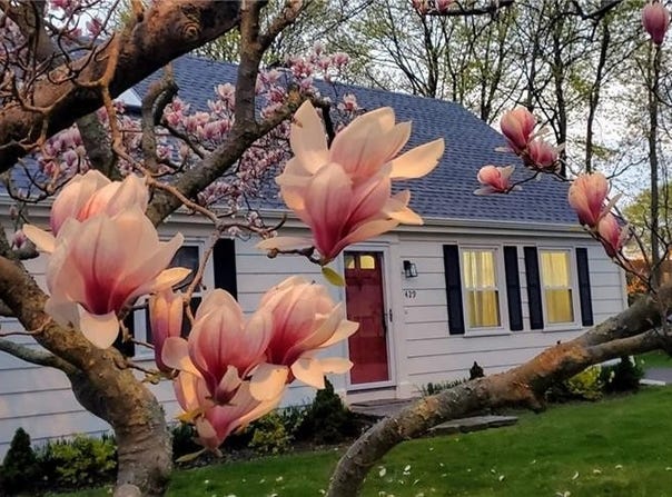 429 Forest Avenue, Middletown, RI 02842