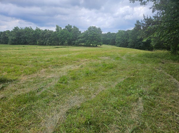 10504 County Road 471, Birch Tree, MO 65438