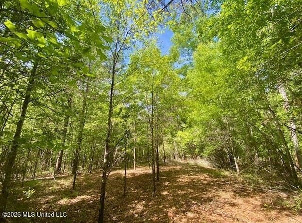 W Smith Ferry Road, Sontag, MS 39665