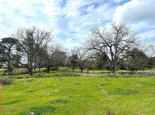 1900 Hluchan Road, Sealy, TX 77474