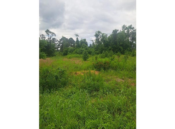 3941 Hillbilly Way, McBee, SC 29101