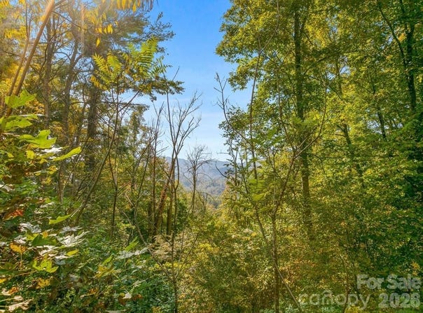 Laurel Heights, Marshall, NC 28753