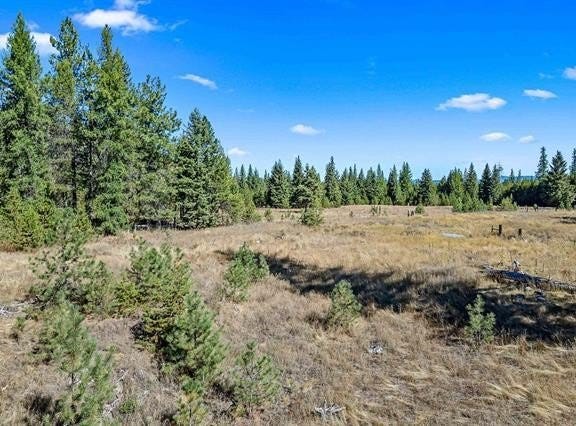 NKA PINES RD, NEWPORT, WA 99156