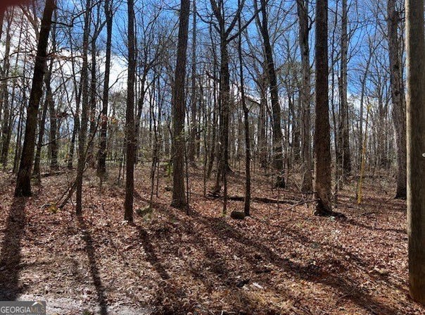 3871 Martin, Ellenwood, GA 30294