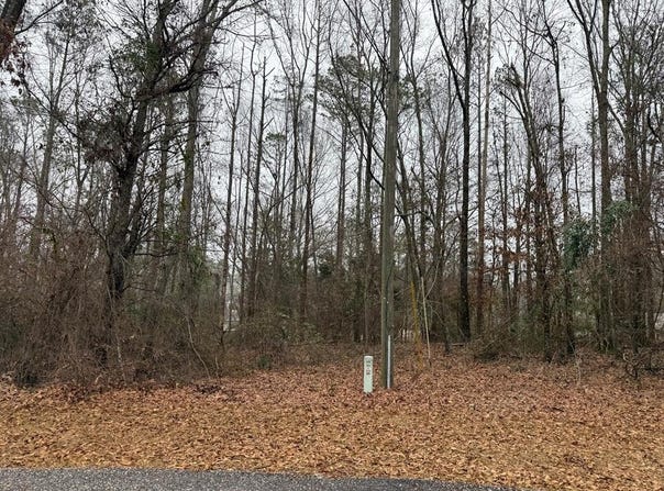 Pine Ridge Drive, TROY, AL 36081