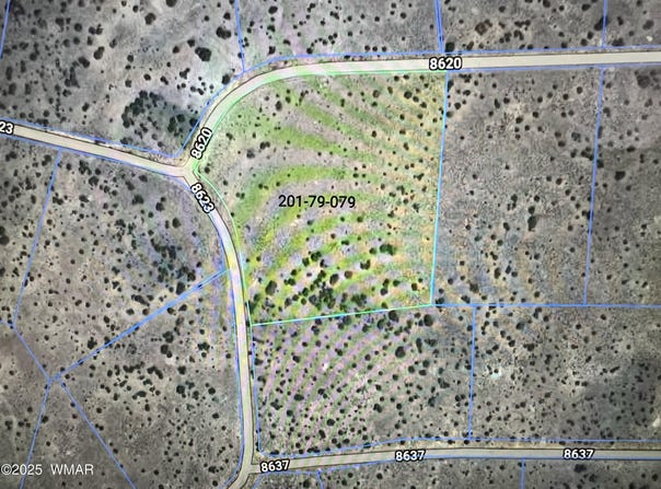 20 County Road, Concho, AZ 85924