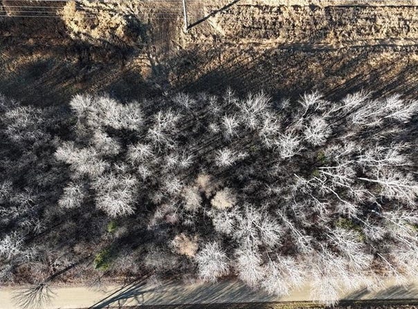 Parcel B Parameter Road, Deer River, MN 56636