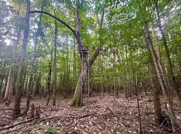 0 Airport Road, Luverne, AL 36049