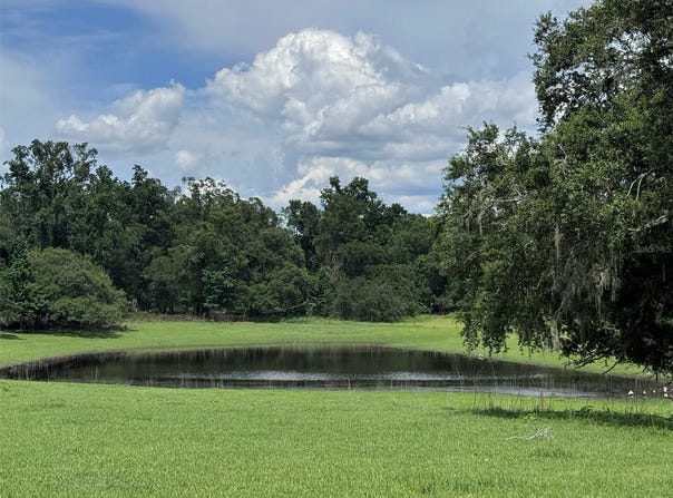 20716 RAMER ROAD, DADE CITY, FL 33523