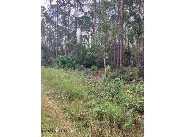 4515 MAHOGANY Boulevard, Bunnell, FL 32110