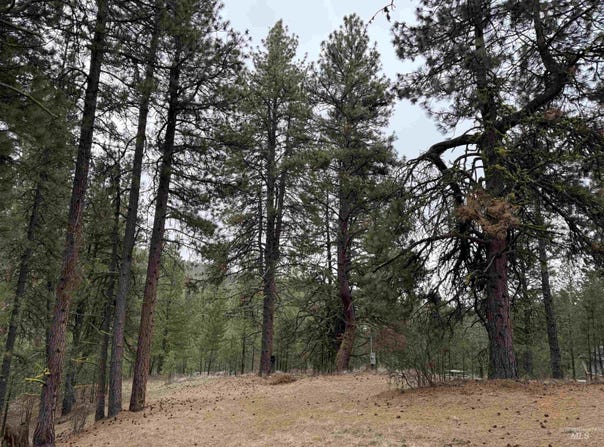 Sunset Loop lot: 16, Cascade, ID 83611