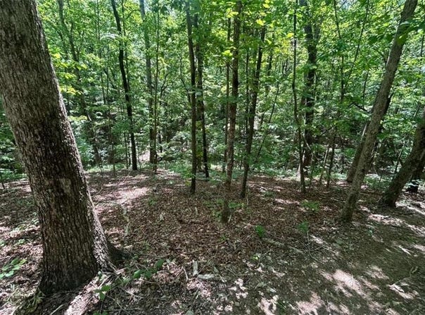 Fouts Mill Rd, Douglasville, GA 30135