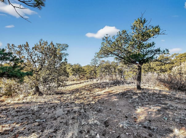 La Posta Way Tract 7-2, Santa Fe, NM 87505