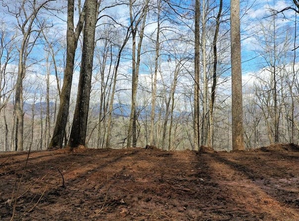 November Dr, Webster, NC 28788