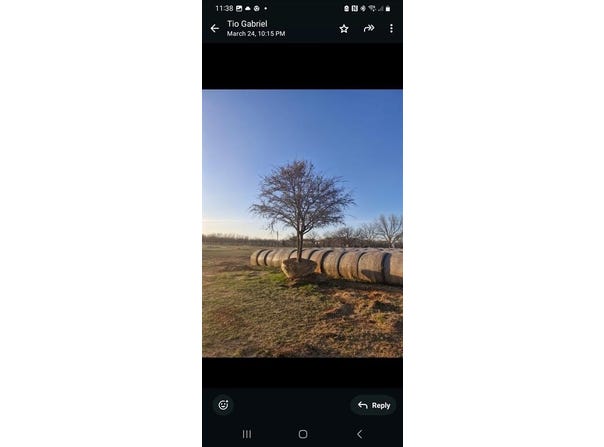 401 County Road 326, Comanche, TX 76442