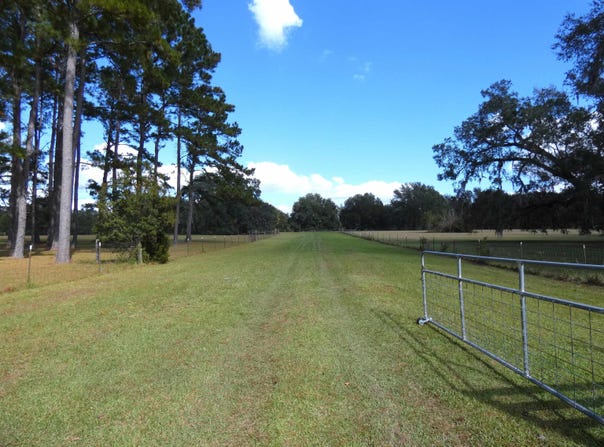 Taylor Road, Monticello, FL 32344